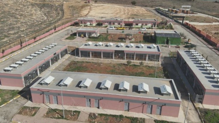 Şanlıurfa'da 28 Bin Köpek Toplandı, 3.500'ü Kısırlaştırıldı