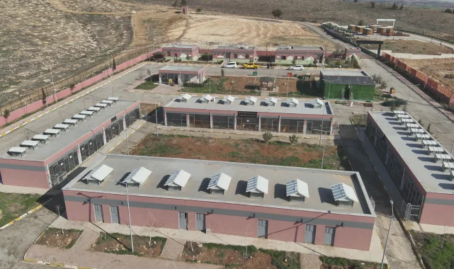 Şanlıurfa'da 28 Bin Köpek Toplandı, 3.500'ü Kısırlaştırıldı