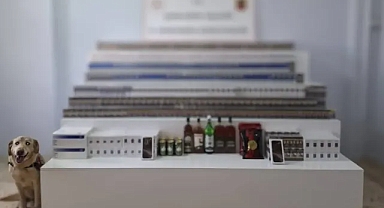 Tam 72 şahıs yakalandı! Urfa'da dev operasyon!