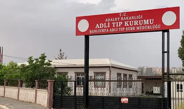 Urfa’da görüntü yürek dağladı! Ağaca asılı halde bulundu!
