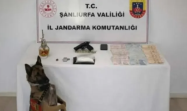 Urfalı gençlerin baş belası! Ekipler harekete geçti