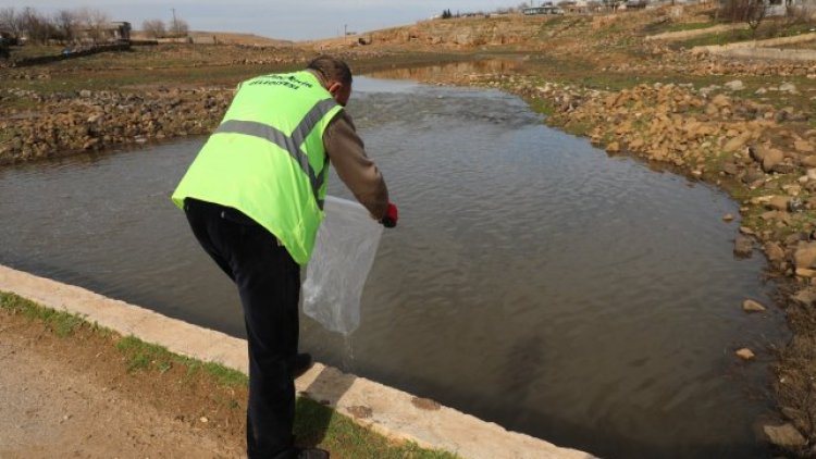Viranşehir'de Dere Yataklarında Larva Mücadelesi Başladı
