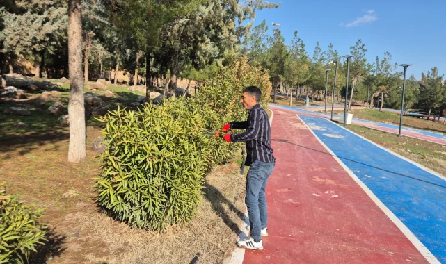 Viranşehir'de Mevsimsel Budama Çalışmaları Yeniden Başladı
