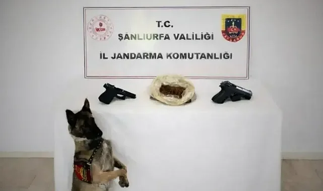 Yakalandı! Şanlıurfa'da operasyon!