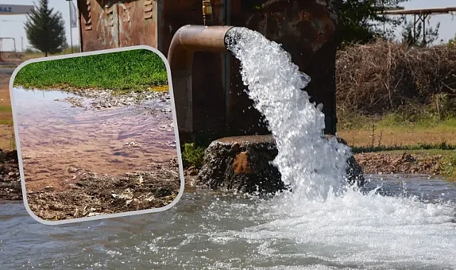 Yasağa rağmen yapılan ekim, 15 milyar TL’lik kayba yol açtı!