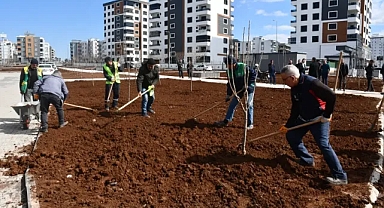 50 dönümlük devasa parkta çalışmalar sürüyor