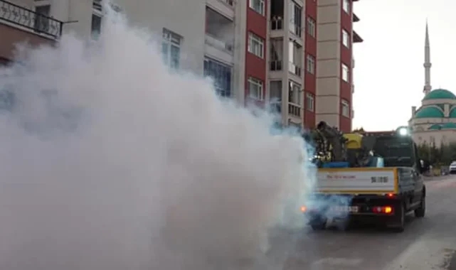 Beypazarı Belediyesi, Larva ilaçlama çalışmaları başladı