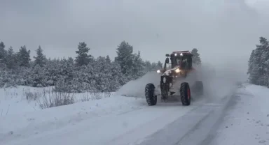 Doğu Anadolu'da kar etkisini sürdürüyor