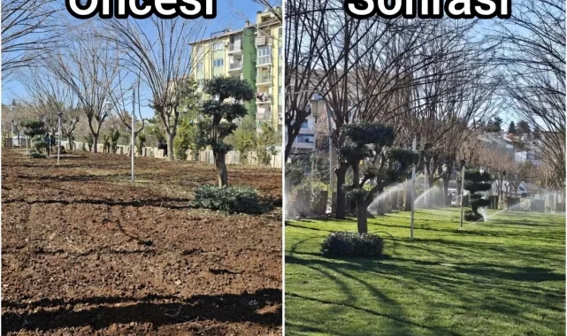 Eyyübiye'de Parklar Yenileniyor, Vatandaşlara Hizmet Sunuluyor