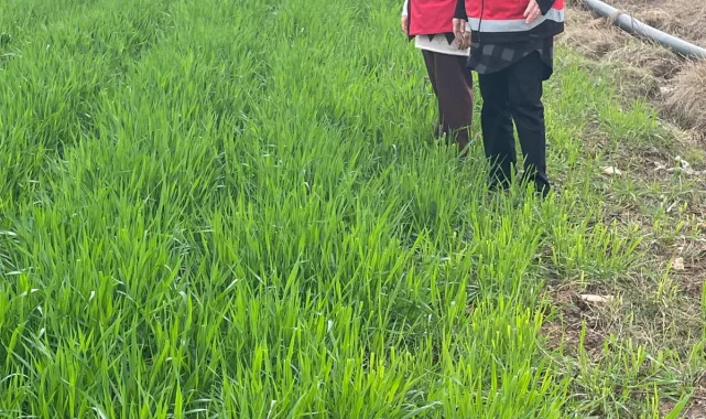 Haliliye'de Aşırı Yağışlar Sonucu Taşkınlar Oluştu, Zarar Tespiti Yapıldı