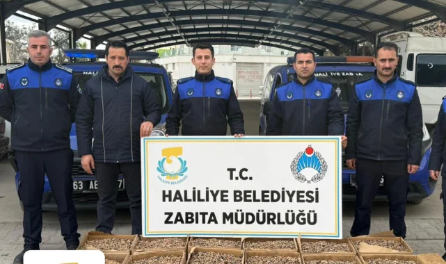 Haliliye'de Baklava İmalathanelerine Denetim: 180 Kg Cevize El Konuldu