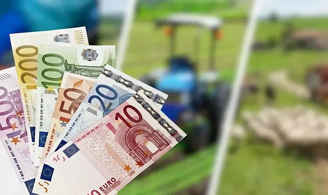 Hibe desteği için takvim açıklandı! 241 milyon avro hibe verilecek!
