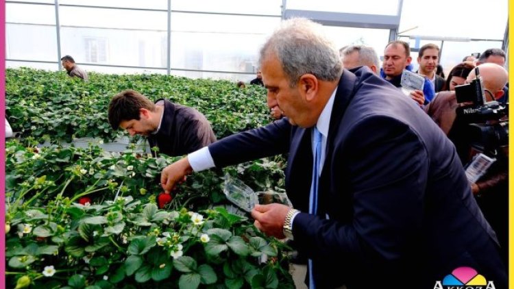 Hilvan Belediyesi Eşbaşkanı Üretim Süreçlerini İnceledi