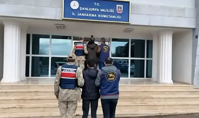 Jandarmadan operasyon! Şanlıurfa’da aranan şahıslar yakalandı!