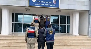 Jandarmadan operasyon! Şanlıurfa’da aranan şahıslar yakalandı!