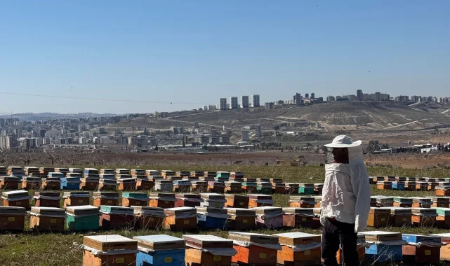 Karaköprü'de Gezgin Arıcıların Konaklamaları Denetleniyor