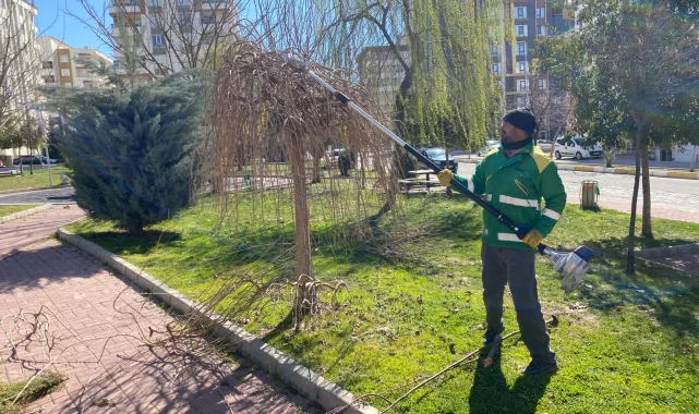 Karaköprü'de Park ve Bahçeler Müdürlüğü Ağaç Budama Çalışmalarını Sürdürüyor