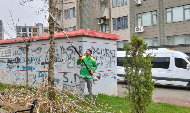 Karaköprü'de Yağış Sonrası Parklarda Budama ve Bakım Çalışmaları Sürüyor