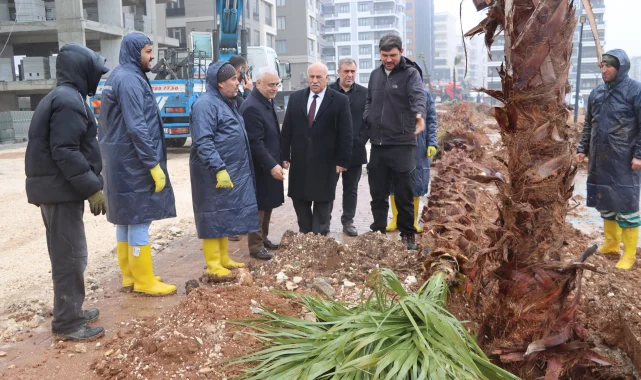 Karaköprü'de Yeni Parkta Palmiye Ağacı Dikimi İncelendi