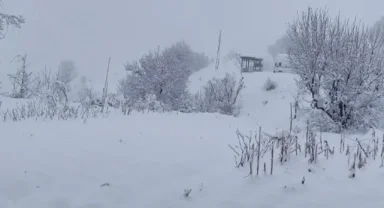 Ordu'da bazı ilçelerde okullar tatil