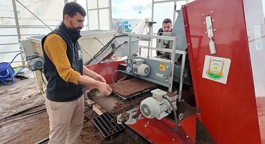 Şanlıurfa Büyükşehir Belediyesi 1 Milyon Fide Üretiyor