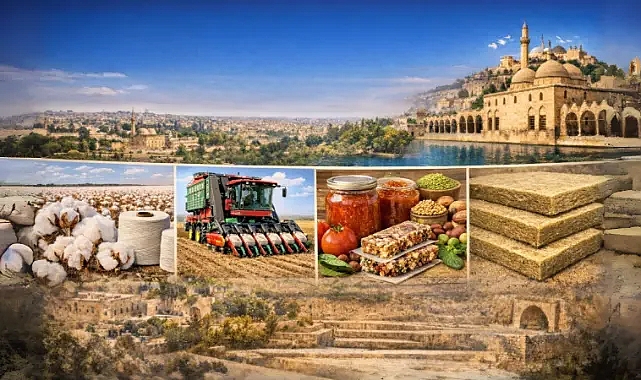 Şanlıurfa’da 301 milyon TL’ye kadar destek: Yerel Kalkınma Hamlesi başvuruları başladı!