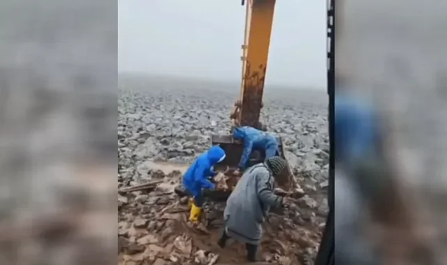 Şanlıurfa’da çamura saplanan inek için ekipler seferber oldu!