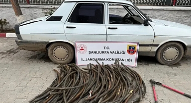 Şanlıurfa’da hırsızlık girişimi engellendi! Zarar 1 milyonu geçti!