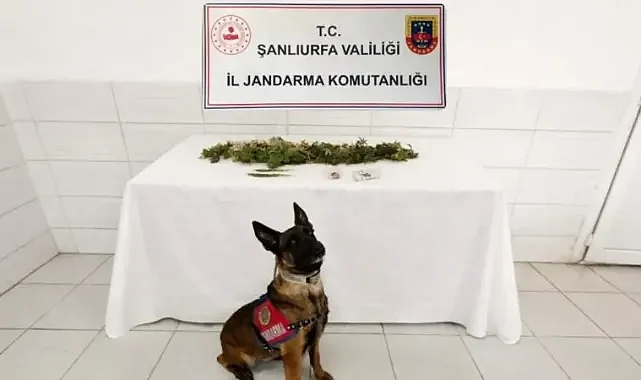 Şanlıurfa’da uyuşturucu ele geçirildi!