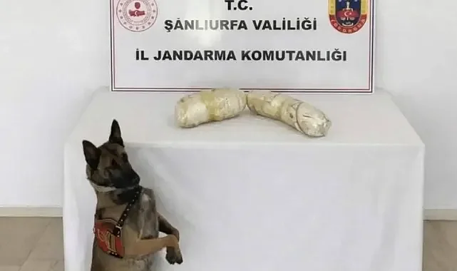 Şanlıurfa’da uyuşturucu ticaretine bir darbe daha!