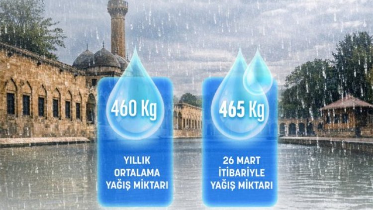 Şanlıurfa Valisi Hasan Işıldak'tan Kelaynak Kuşları Hakkında Açıklama