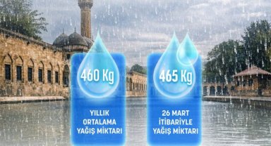 Şanlıurfa Valisi Hasan Işıldak'tan Kelaynak Kuşları Hakkında Açıklama