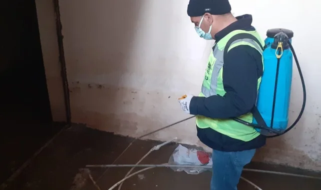 Siverek'te Halk Sağlığı İçin Sivrisinek Larvası Mücadelesi Devam Ediyor