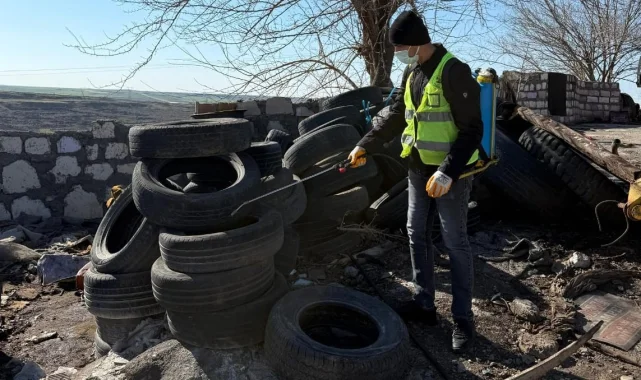 Siverek'te Larvalara Karşı İlaçlama Çalışmaları Devam Ediyor