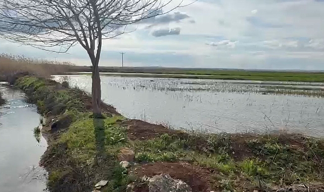 Suruç’ta Tarım Arazileri Alarm Veriyor: Boztepe (Gıregevr) Bataklığa Döndü