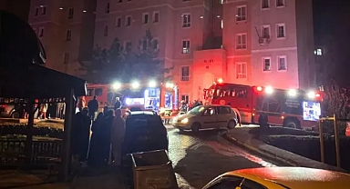 Urfa'da korku dolu anlar! Seyrantepe'de yangın çıktı!