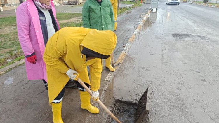 Viranşehir'de 28 Mart Caddesi'nde Rögar ve Mazgal Temizliği Devam Ediyor