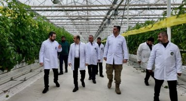 Akçakale'de İyi Tarım Uygulamaları Kapsamında Domates Serası İncelemesi