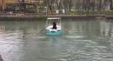 Balıklıgöl'deki Kayıklar Yenilendi, Hizmete Girdi