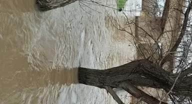 Beypazarı'nda sağanak etkisi: Dereler ve çaylar taştı