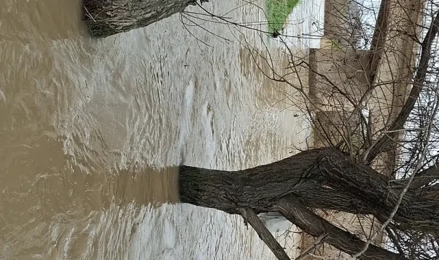 Beypazarı'nda sağanak etkisi: Dereler ve çaylar taştı