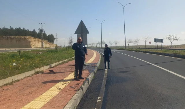 Birecik Belediyesi Zabıtasından Halkın Huzuru İçin Denetimler