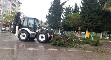 Birecik'te Fırtına Sonrası Ekipler Sahada: Yollar Açılıyor, Ağaçlar Temizleniyor
