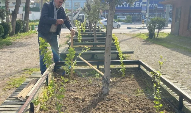 Birecik'te Millet Bahçesi ve Sahil Parkı'nda Kapsamlı Yeşil Alan Düzenlemesi