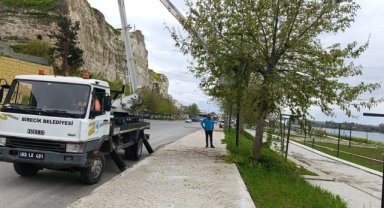 Birecik'te Yeşil Alanlar Yeniden Düzenleniyor