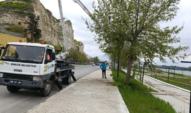 Birecik'te Yeşil Alanlar Yeniden Düzenleniyor