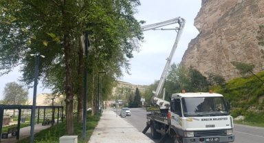 Birecik'te Yeşil Alanlar Yenileniyor: Park ve Bahçeler Müdürlüğü Çalışıyor