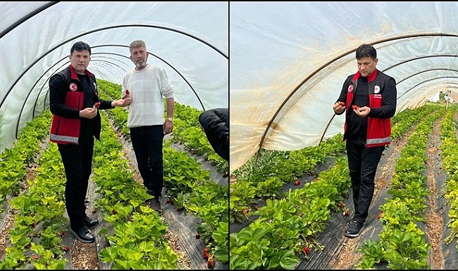 Bozova’da Tarım Çeşitliliği Artıyor