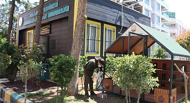 Büyükşehir Belediyesi’nden Sokak Kedileri İçin Örnek Proje