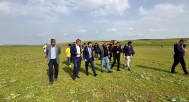 Ceylanpınar Belediye Eşbaşkanı Uğur Kahraman Sahada İnceleme Yaptı